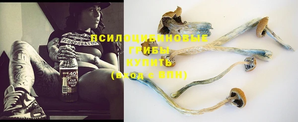 мяу мяу кристалл Верея