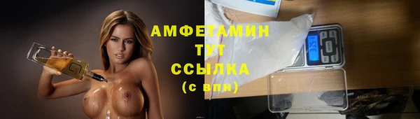гидра Верхний Тагил
