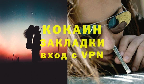 дурь Бородино